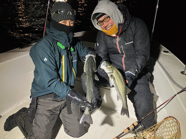 シーバス(スズキ)