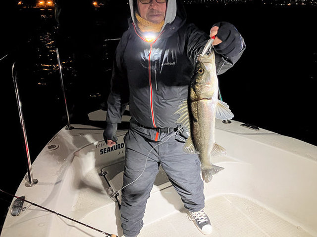 シーバス(スズキ)