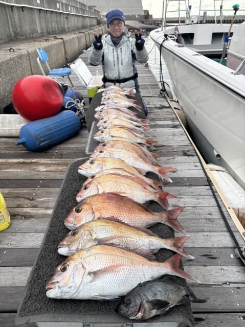 マダイ・メバル