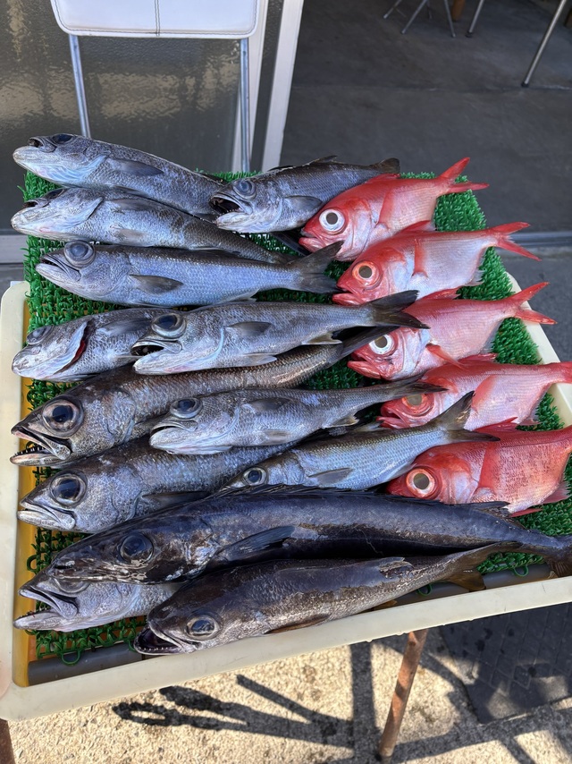 クロムツ・キンメ(キンメダイ)