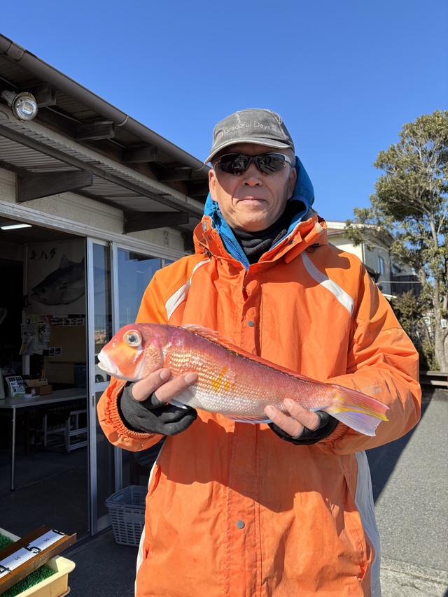 アマダイ(アカアマダイ)