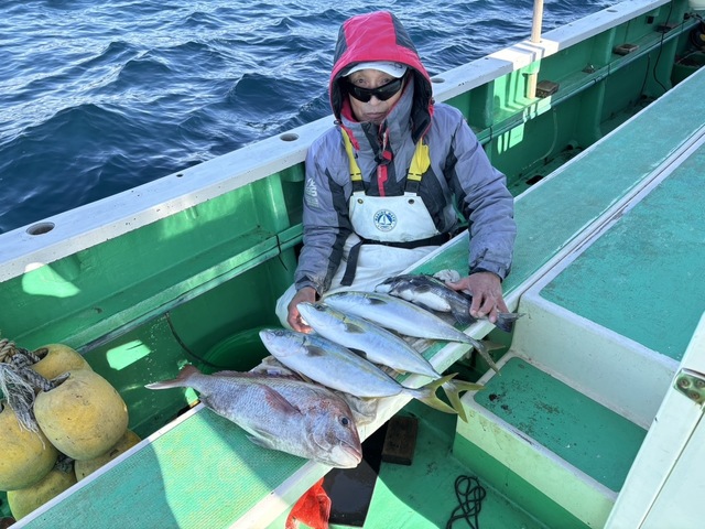 マダイ・クロダイ・イナダ(ブリ)