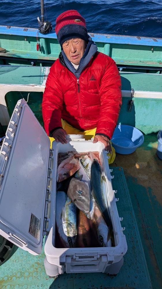 マダイ・イナダ(ブリ)