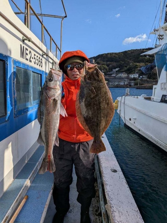 スズキ・ヒラメ