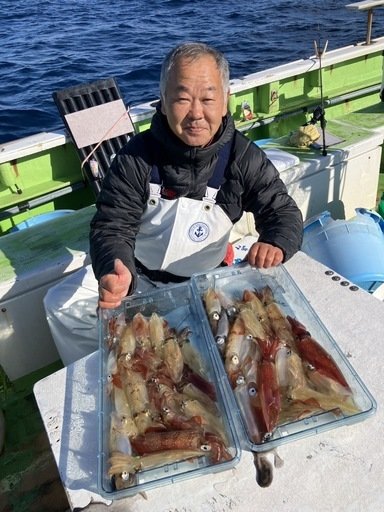 マルイカ(ケンサキイカ)