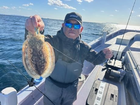 スミイカ(コウイカ)