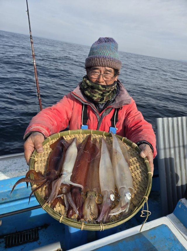 イカ(ケンサキイカ)