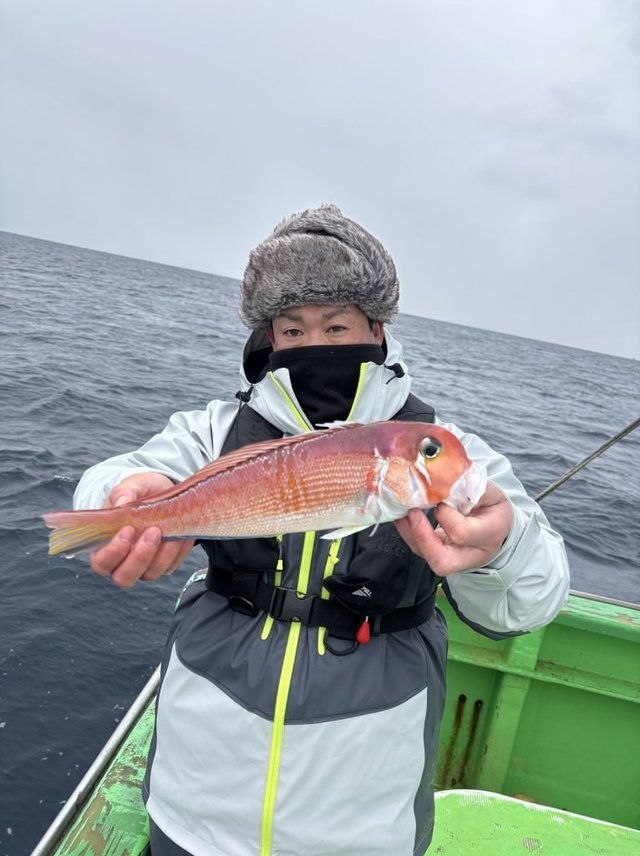 アマダイ(アカアマダイ)