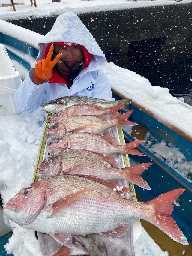 マダイ・クロダイ