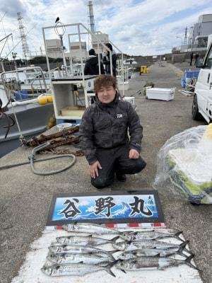 サゴシ(サワラ)・ヤナギ(サワラ)