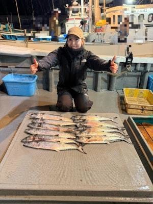 サゴシ(サワラ)・ヤナギ(サワラ)