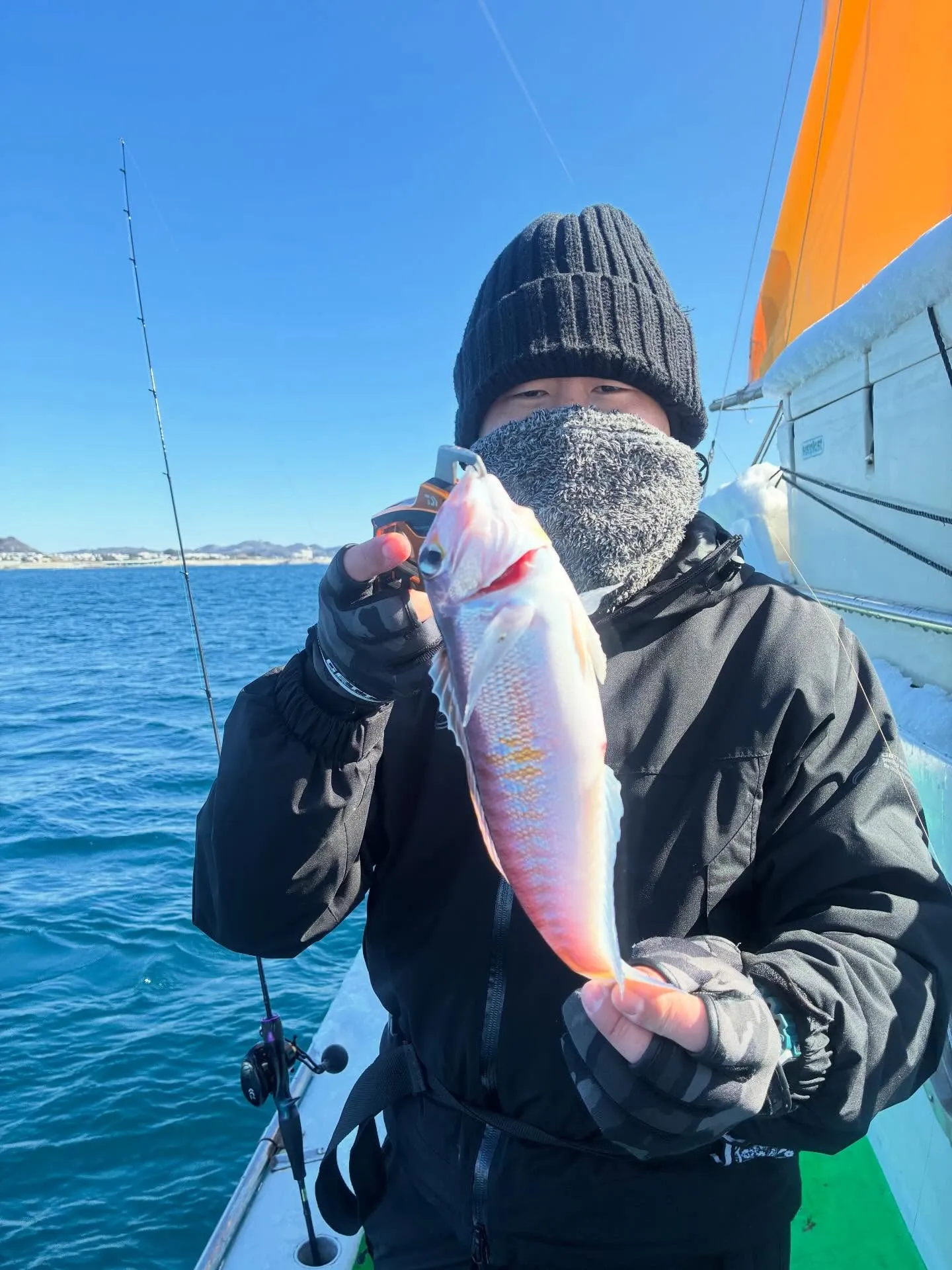 アマダイ(アカアマダイ)