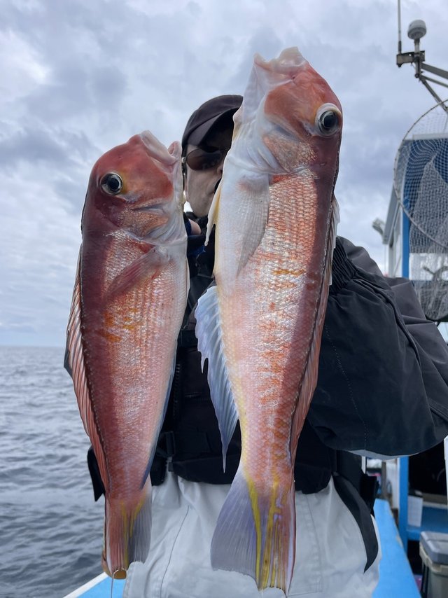 アマダイ(アカアマダイ)