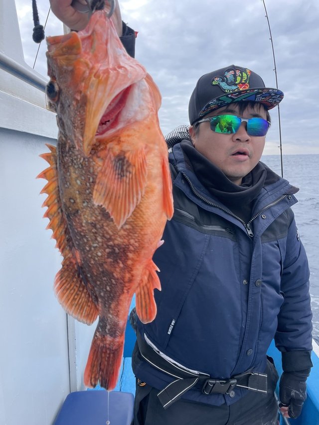 ウッカリカサゴ