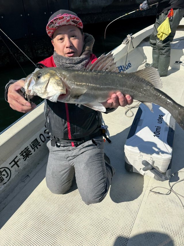 シーバス(スズキ)