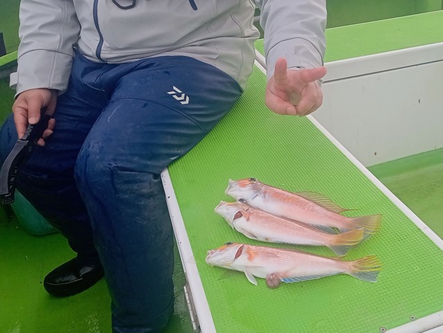 アマダイ(アカアマダイ)