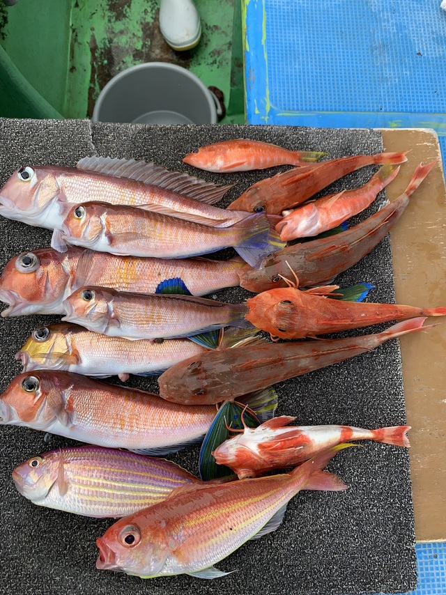 アマダイ(アカアマダイ)