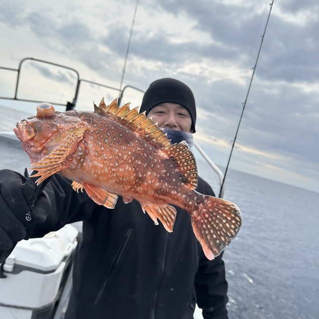 ウッカリカサゴ