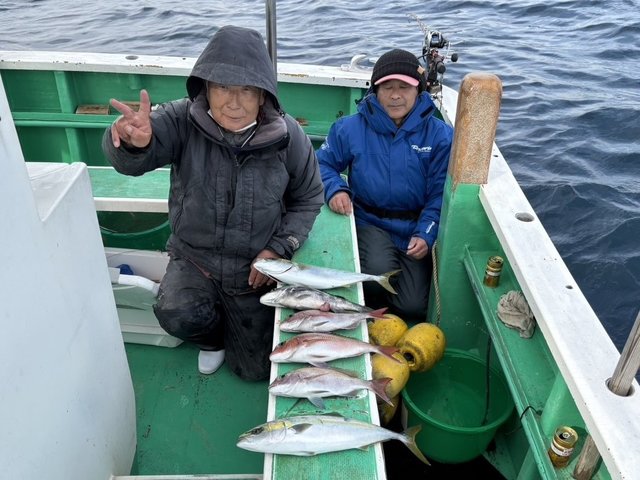 マダイ・イナダ(ブリ)