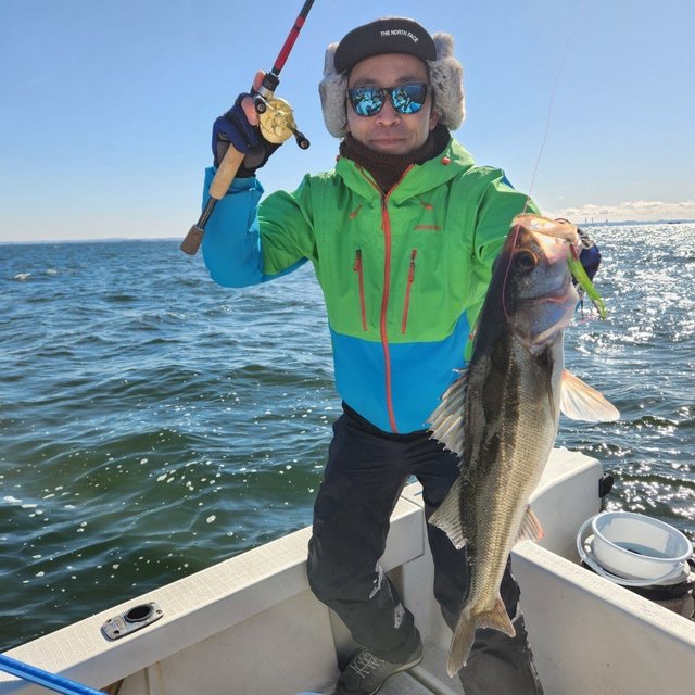 シーバス(スズキ)