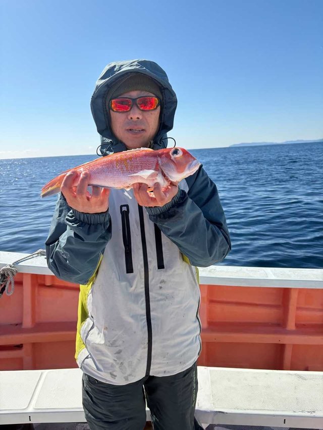 アマダイ(アカアマダイ)