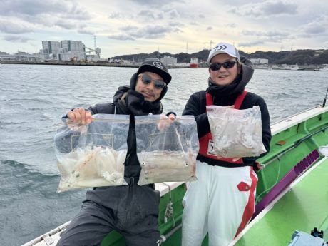 マルイカ(ケンサキイカ)