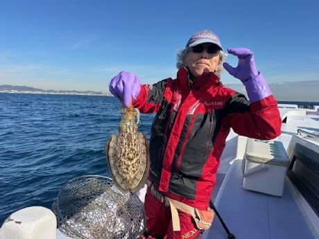 スミイカ(コウイカ)