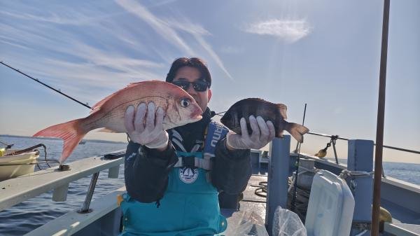 マダイ・ウマズラ(ウマヅラハギ)