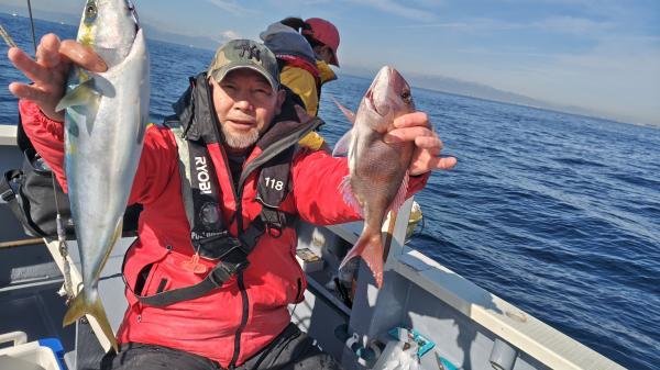 マダイ・イナダ(ブリ)