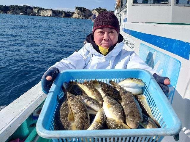 コモンフグ・ショウサイフグ