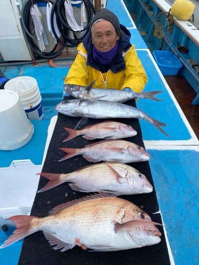 マダイ・メダイ