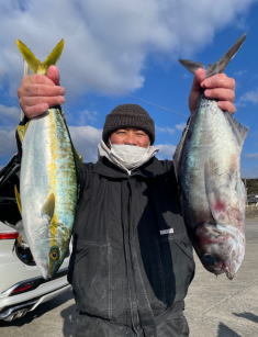 ヒラマサ・メダイ