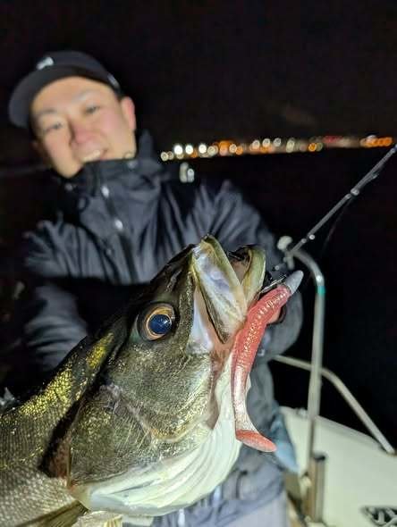 シーバス(スズキ)