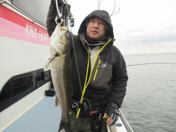 シーバス(スズキ)