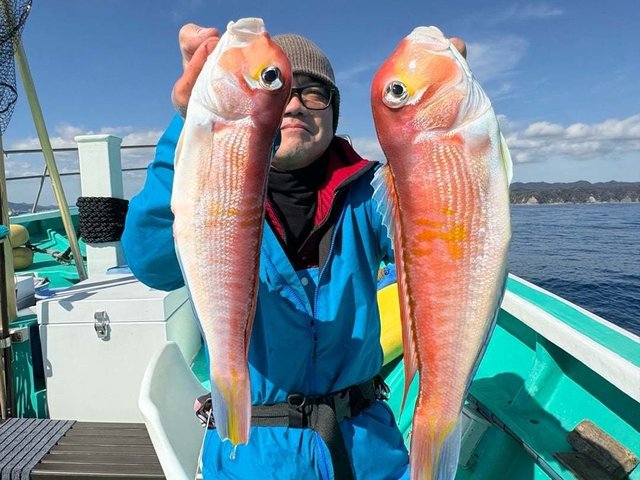 アマダイ(アカアマダイ)