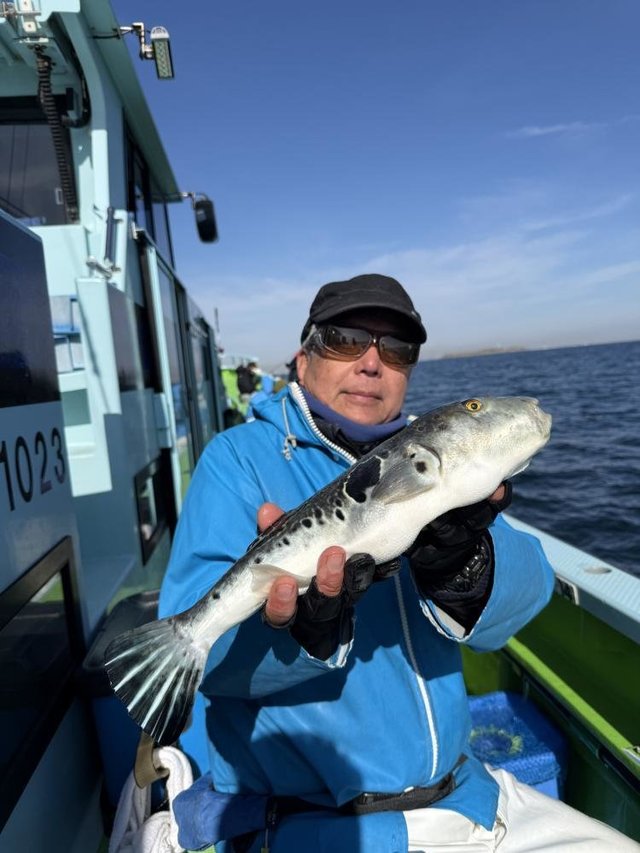 フグ(トラフグ)