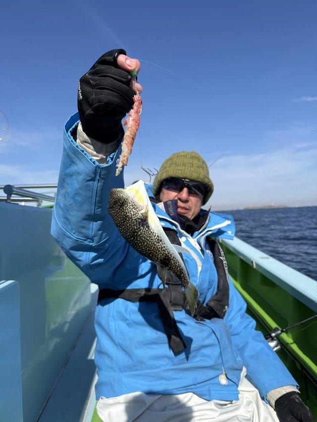 フグ(ショウサイフグ)