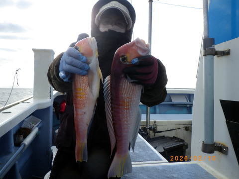 アマダイ(アカアマダイ)