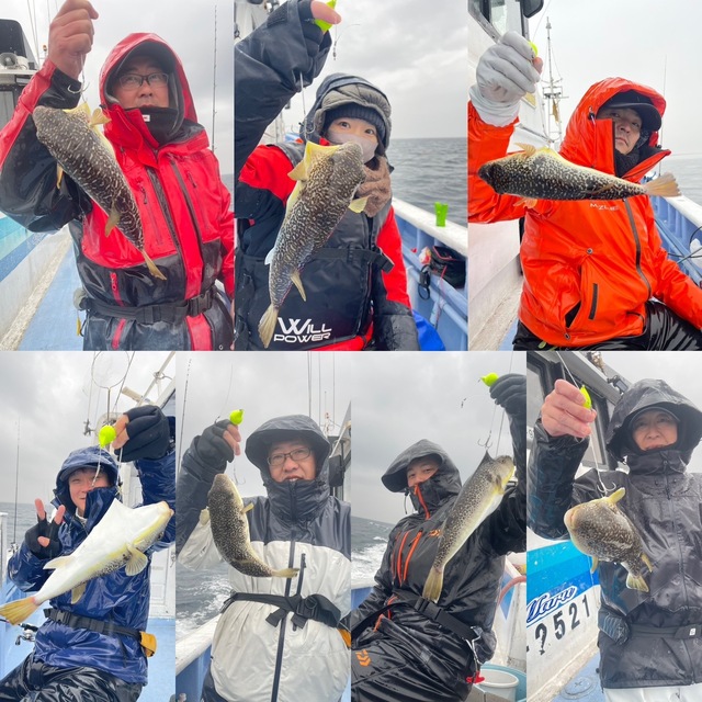 ショウサイフグ