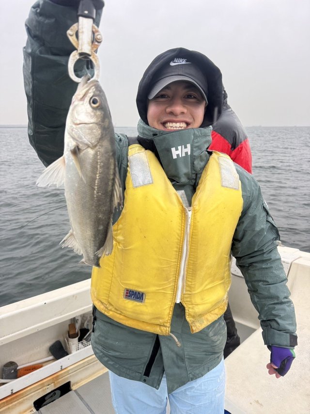 シーバス(スズキ)