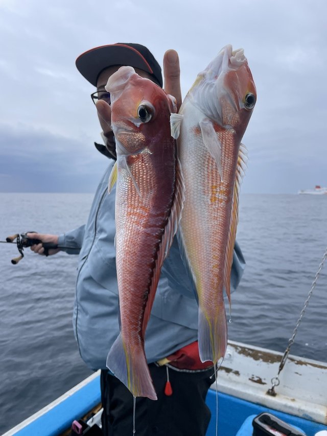 アマダイ(アカアマダイ)