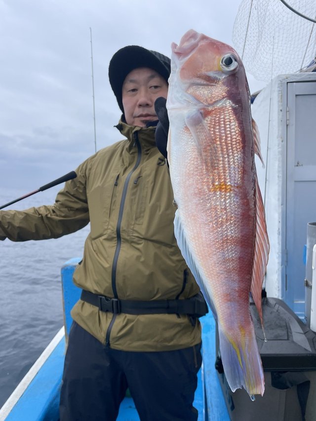 アマダイ(アカアマダイ)