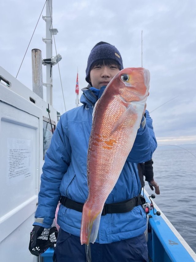 アマダイ(アカアマダイ)