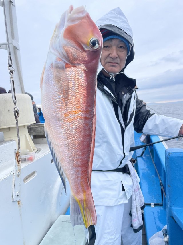 アマダイ(アカアマダイ)