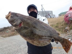 ヒラメ