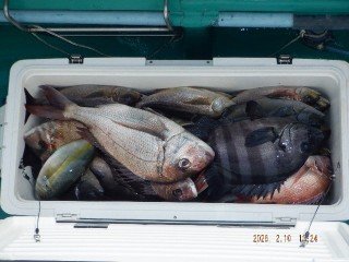 マダイ・イシダイ・シマアジ