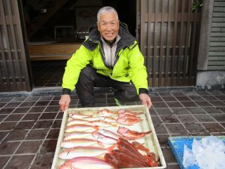 アマダイ(アカアマダイ)・イトヨリ(イトヨリダイ)・カサゴ・ホウボウ