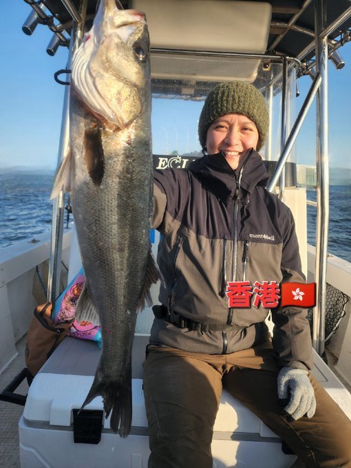 シーバス(スズキ)