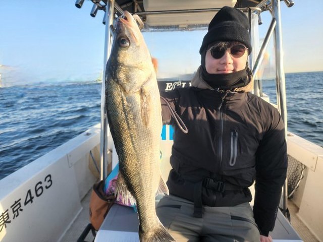 シーバス(スズキ)