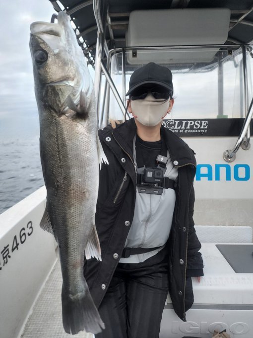 シーバス(スズキ)